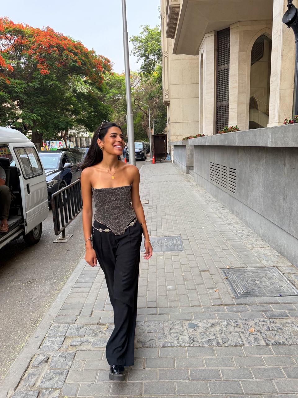 Cheetah print corset